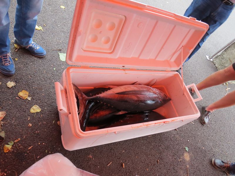 Pesée24.JPG