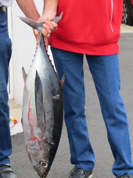 Pesée30.JPG