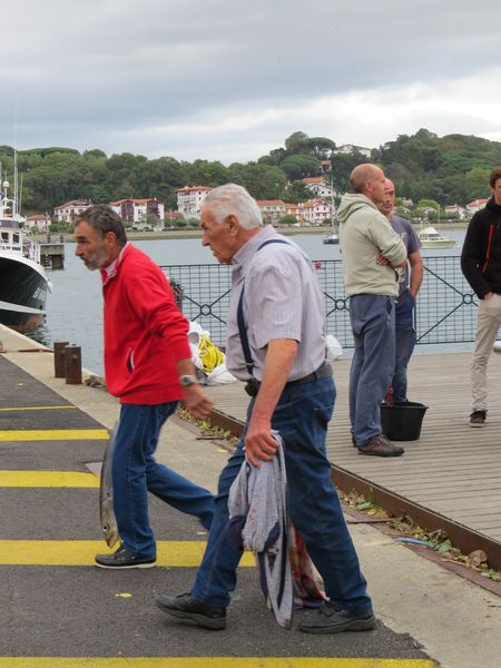 Pesée32.JPG