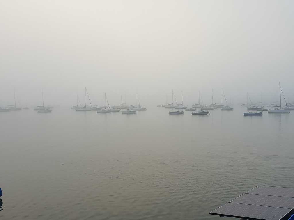 20221004_083731.jpg