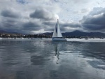 IMG-20220305-WA0012.jpg